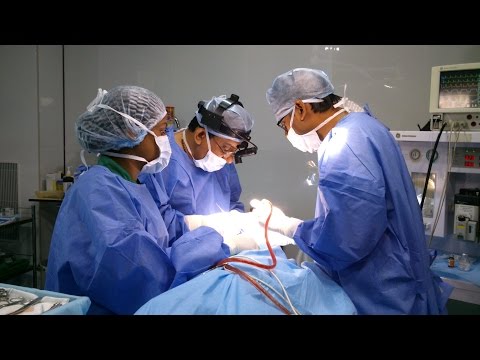 Affordable Nose Reshaping Surgery( Nose Job-Rhinoplasty)