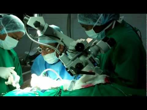 Health Tourism in Kerala India:Ear Surgery
