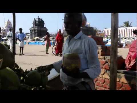 How to enjoy the coconut fruit