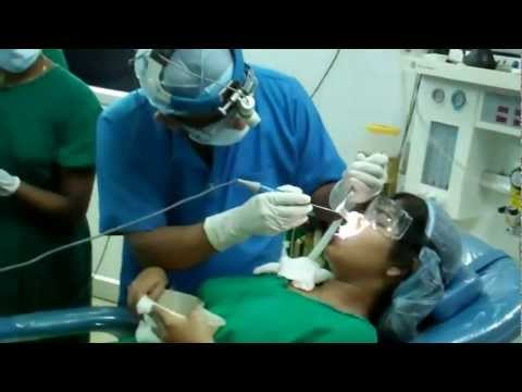 Jasmine is Sneezing:She gets Treated by Coblator