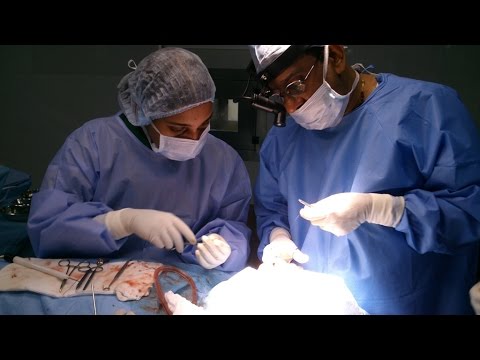 Rhinoplasty-Would You Like a Decent Nose ?