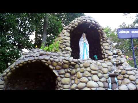 Story of An Olive Tree